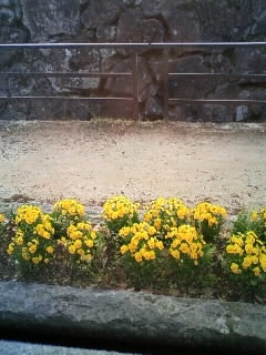 080503_0743~01.JPG