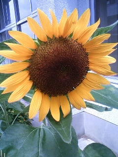 080826_1138~01.JPG