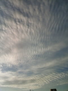 091008_1700~01.JPG